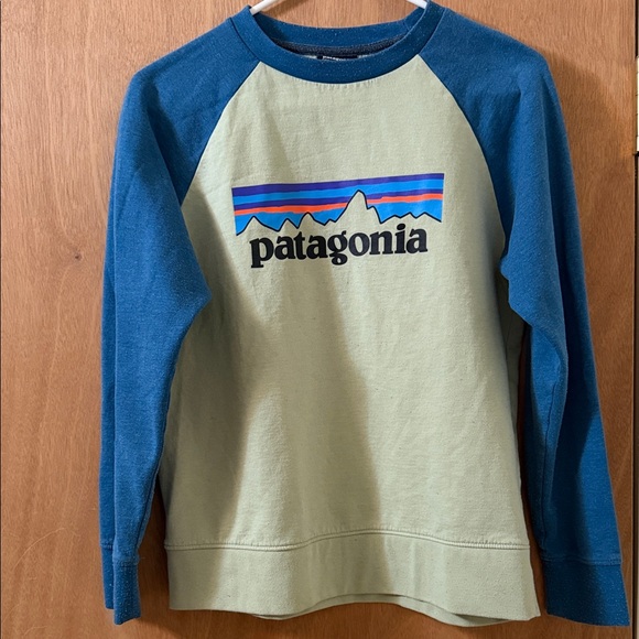 Patagonia Other - 🚸Patagonia Kids' Blue and Cream Long Sleeve Shirt